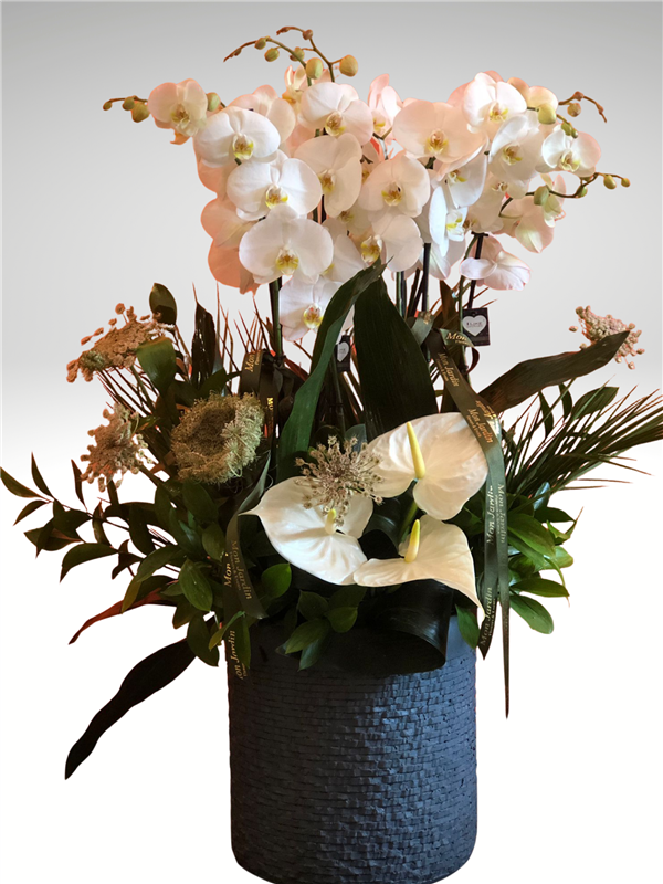 BEYAZ ORKİDE ARANJMANI