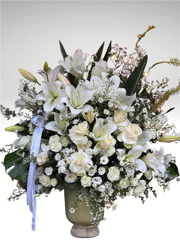 BEYAZ CASABLANCA ARANJMAN