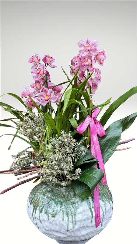 SAKSI CYMBİDİUM ARANJMAN