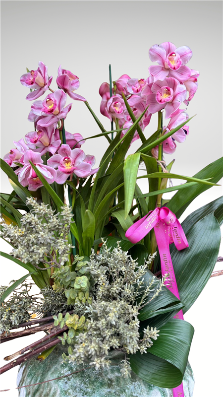 SAKSI CYMBİDİUM ARANJMAN