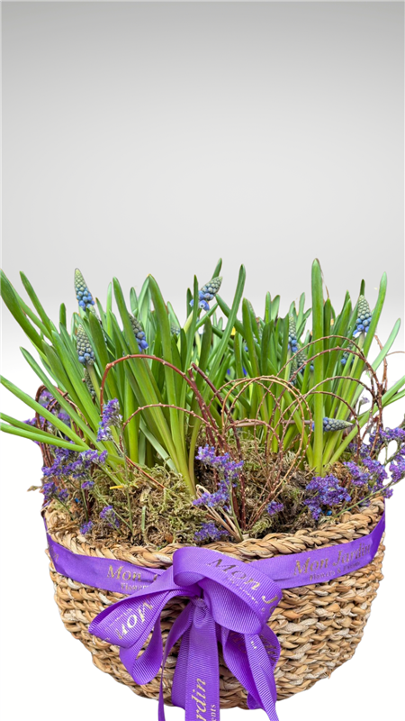 MUSCARİ ARANJMAN