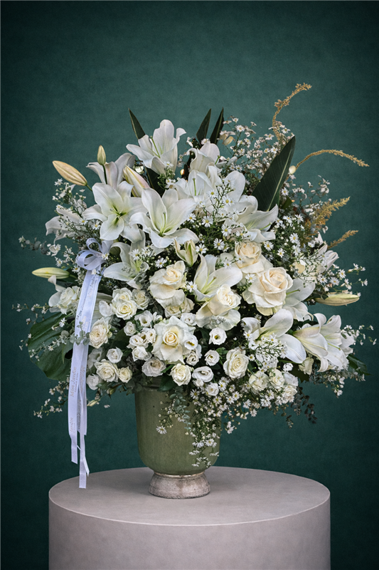 BEYAZ CASABLANCA ARANJMAN