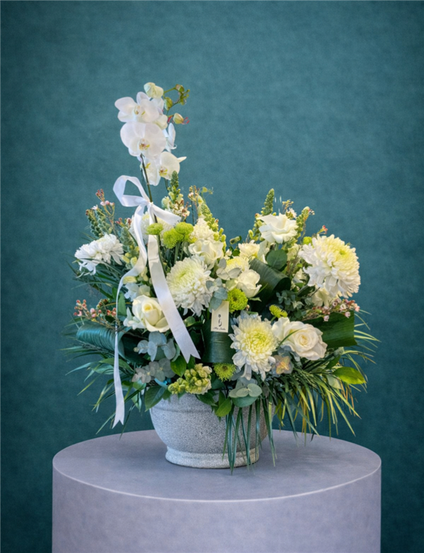 BEYAZ ORKİDE ARANJMAN