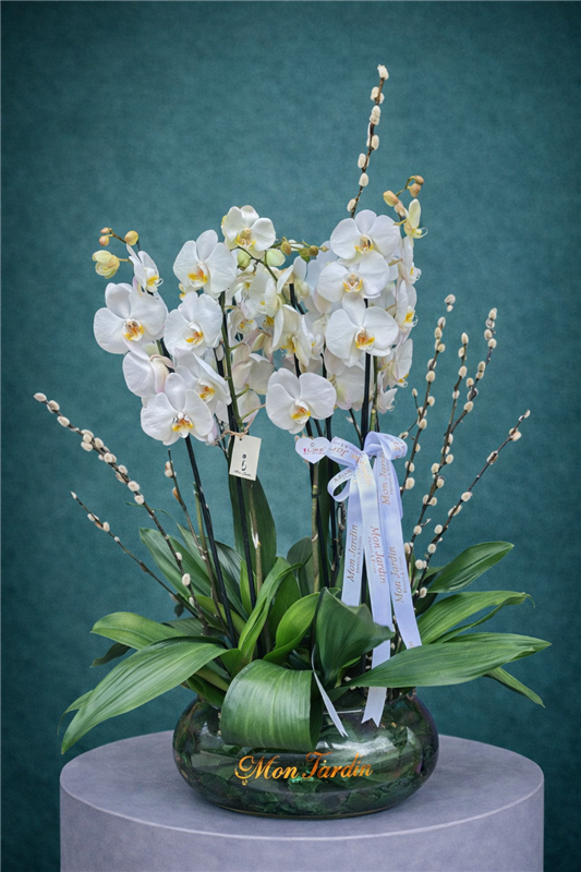 BEYAZ ORKİDE ARANJMANI