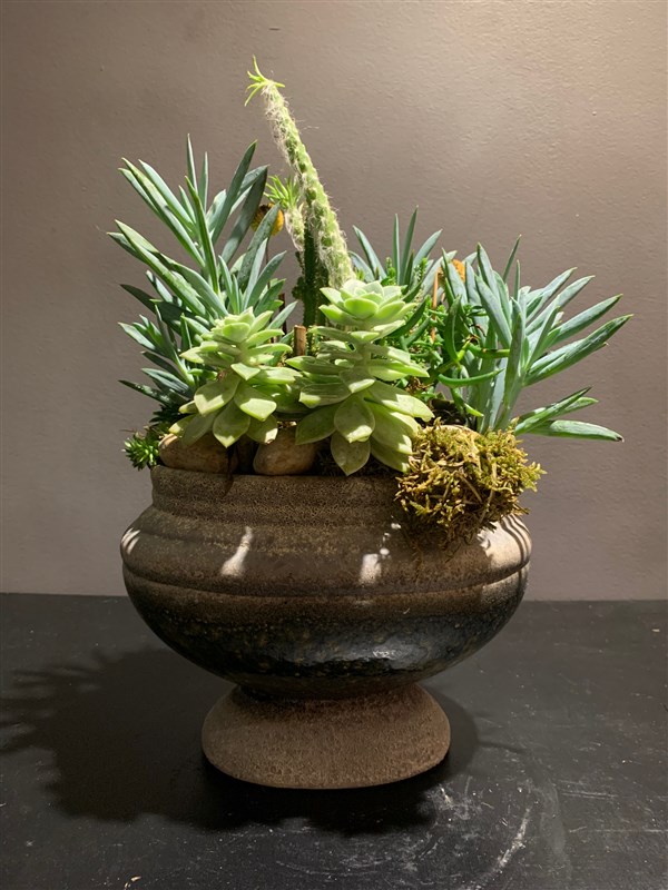 TERRARIUM-001