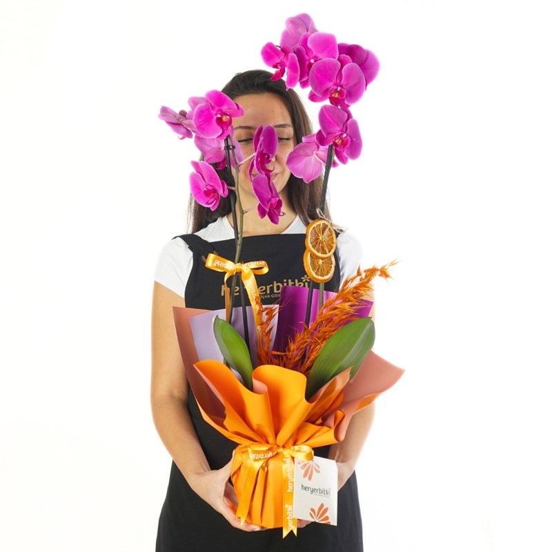 Mor Orkide - 2 Dallı (Vibrant Purple Orchid)