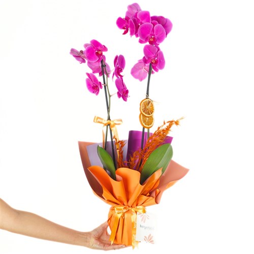 Mor Orkide - 2 Dallı (Vibrant Purple Orchid)