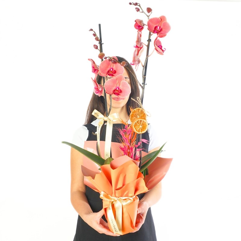Sunset Coral Gift (Ateş Orkide Aranjmanı)