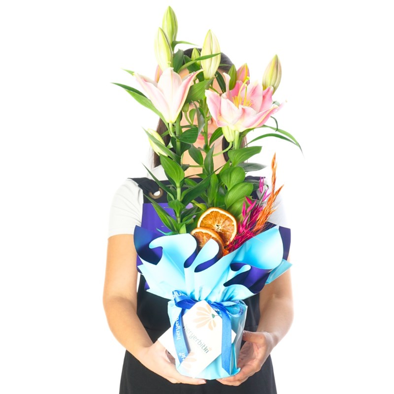 Blue Aura Lily