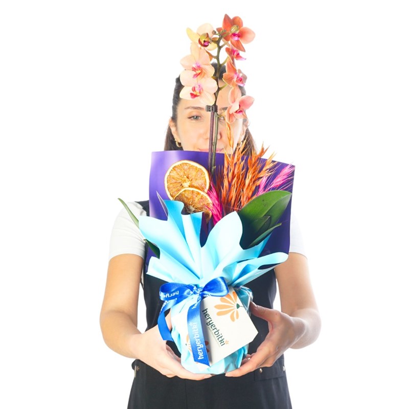 Blue Coral Gift (Fire Orchid Arrangement)