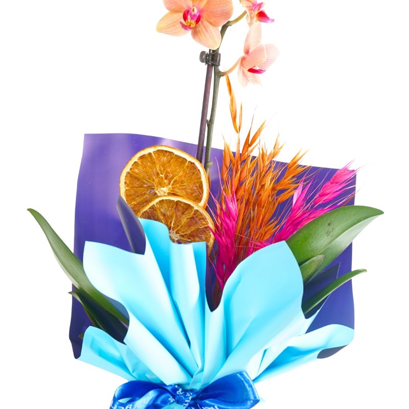 Blue Coral Gift (Fire Orchid Arrangement)