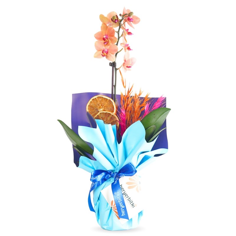 Blue Coral Gift (Fire Orchid Arrangement)