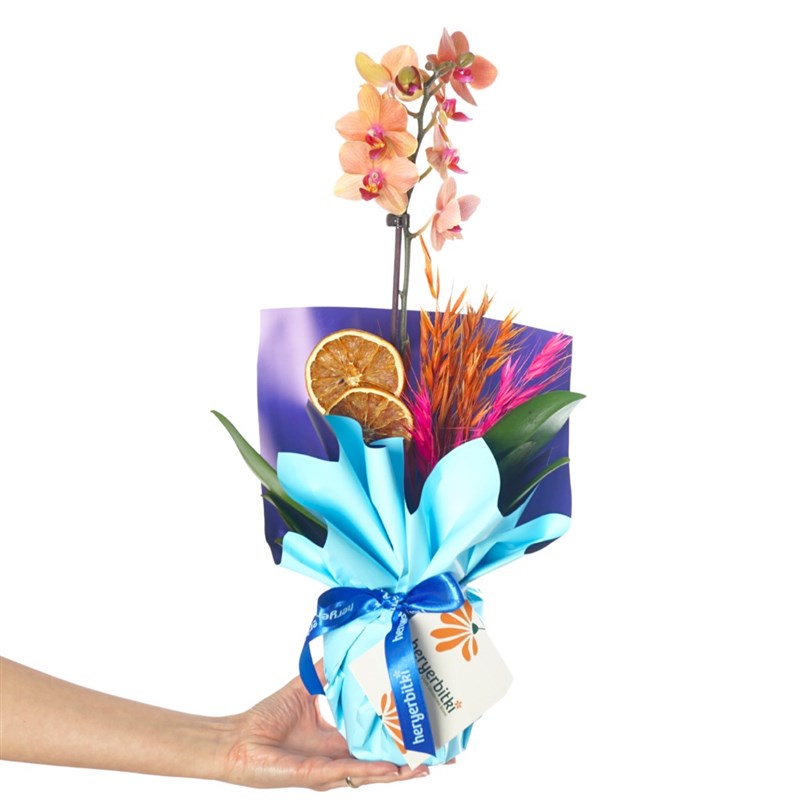 Blue Coral Gift (Fire Orchid Arrangement)