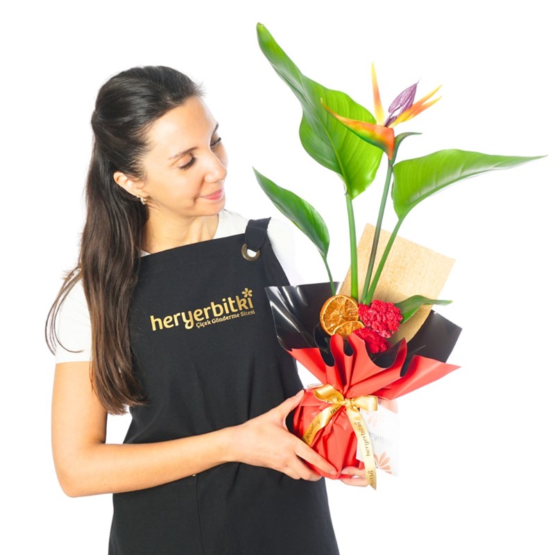 Gift-Wrapped Artificial Flowers for Strelitzia