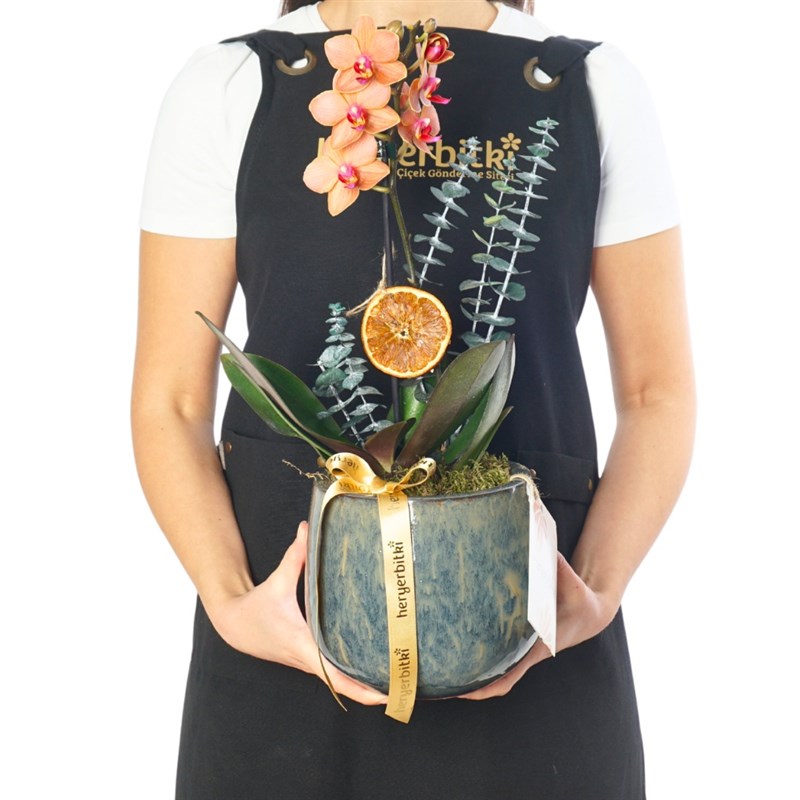 Premium Coral Gift (Ateş Orkide Aranjmanı)