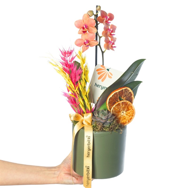 Coral Garden Gift (Fire Orchid Arrangement)