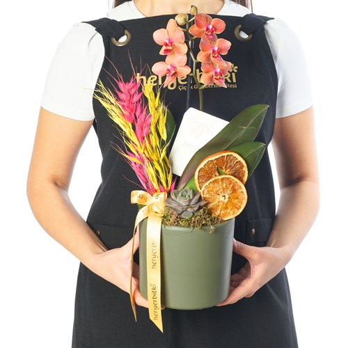 Coral Garden Gift (Fire Orchid Arrangement)