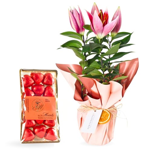 Lilyum Çiçeği & Melodi Heart Çikolata Bundle