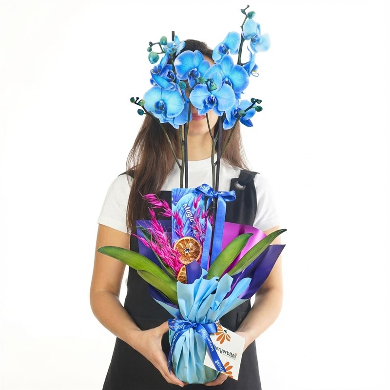 Ocean Blossom Blue Orchid Arrangement