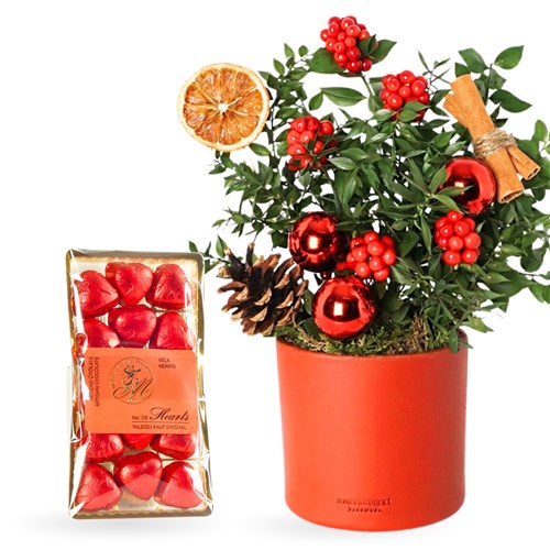 Very Merry 2 Kokina & Melodi Heart Çikolata Bundle