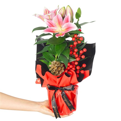 New Year Gift (Lilyum & Kokina Aranjmanı)