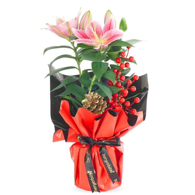 New Year Gift (Lilyum & Kokina Aranjmanı)