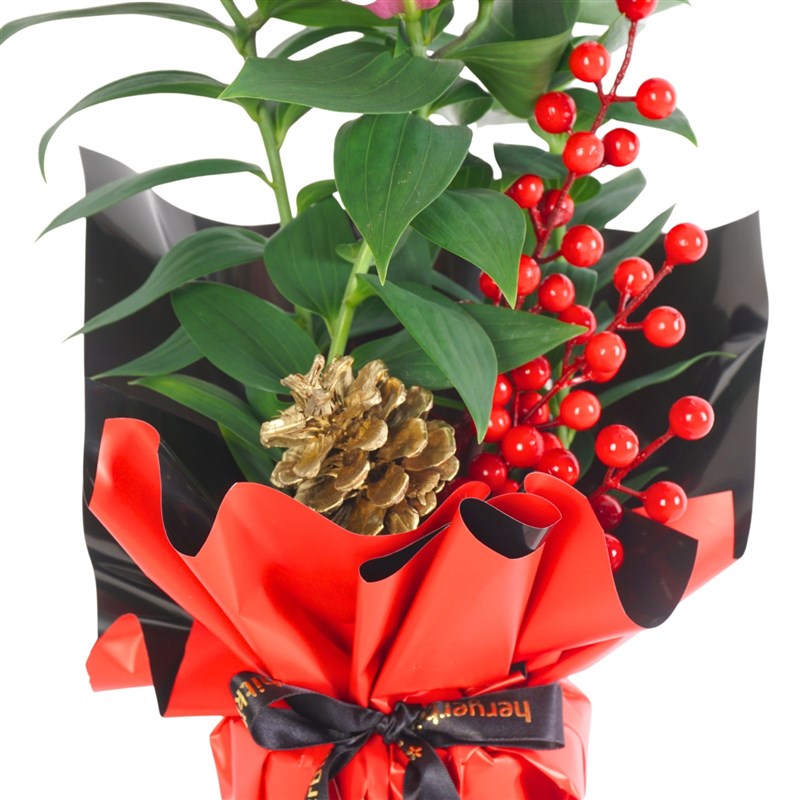 New Year Gift (Lilyum & Kokina Aranjmanı)