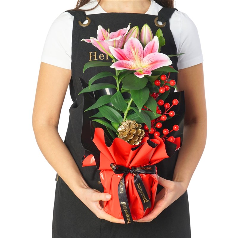 New Year Gift (Lilyum & Kokina Aranjmanı)