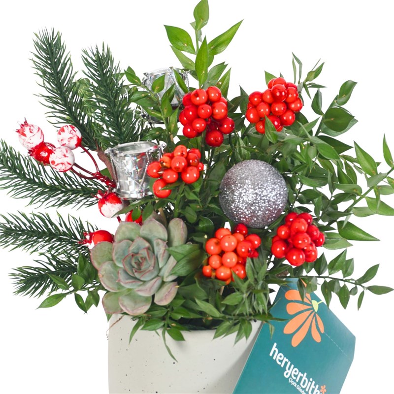 Merry Bloom Grey (Kokina Aranjmanı)