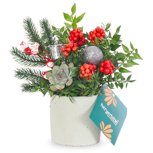 Merry Bloom Grey (Kokina Aranjmanı)