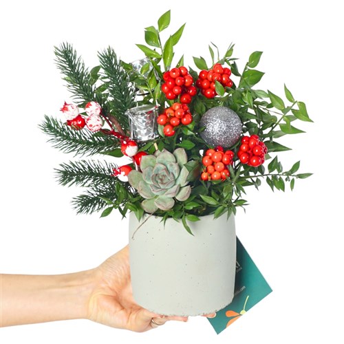 Merry Bloom Grey (Kokina Aranjmanı)