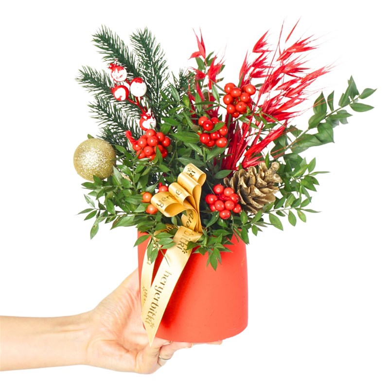 Merry Bloom Red (Kokina Aranjmanı)