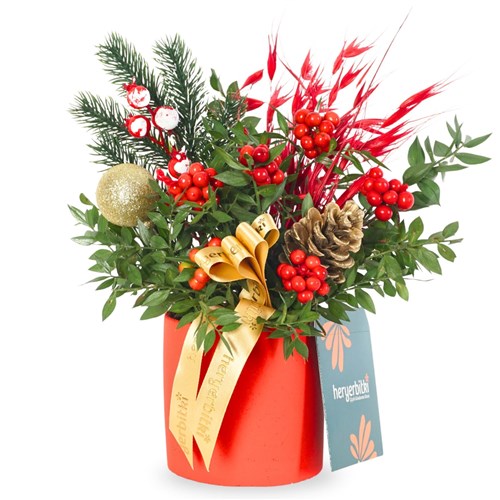 Merry Bloom Red (Kokina Aranjmanı)