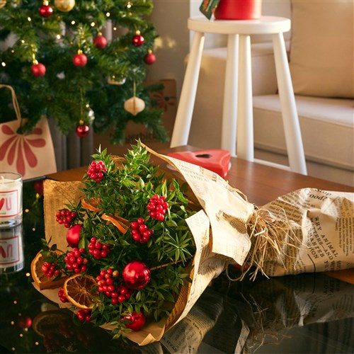 Winter Cheer Bouquet (Deluxe Kokina Buketi)
