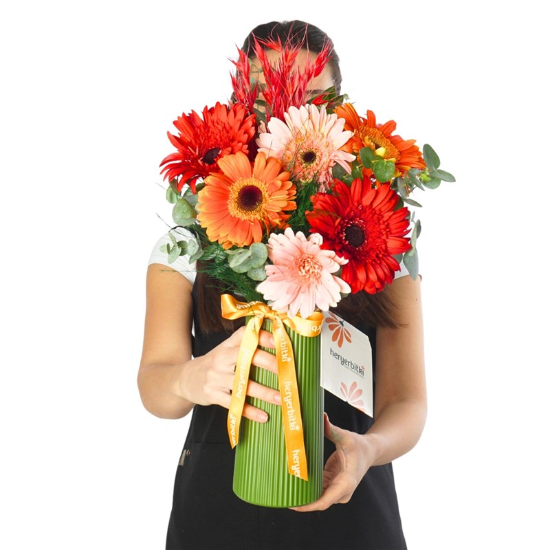 Happy Gerberas (Vazoda Renkli Gerberalar)
