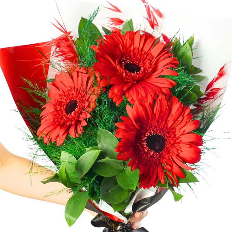 Flash Gerberas (Kırmızı Gerbera Buketi)