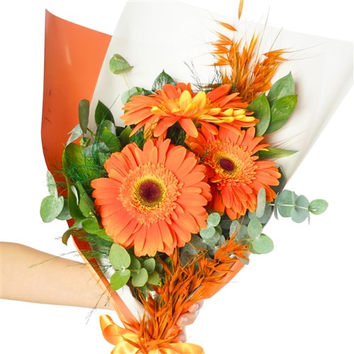 Sunrise Gerberas (Orange Gerbera Bouquet)