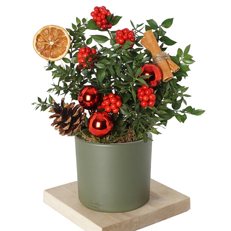 Very Merry 2 (Kokina Arrangement in a Green Pot)