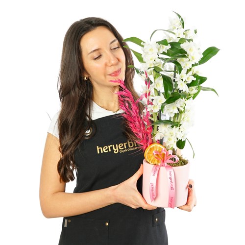 Pembe Saksıda Kokulu Dendrobium Aranjmanı