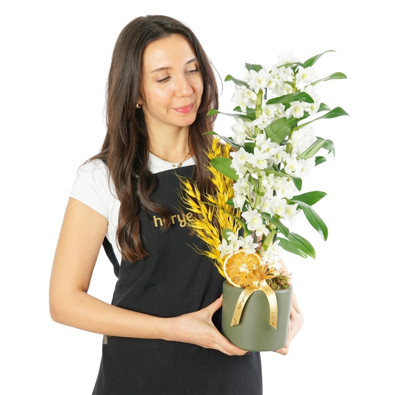 Fragrant Dendrobium Arrangement in a Green Pot