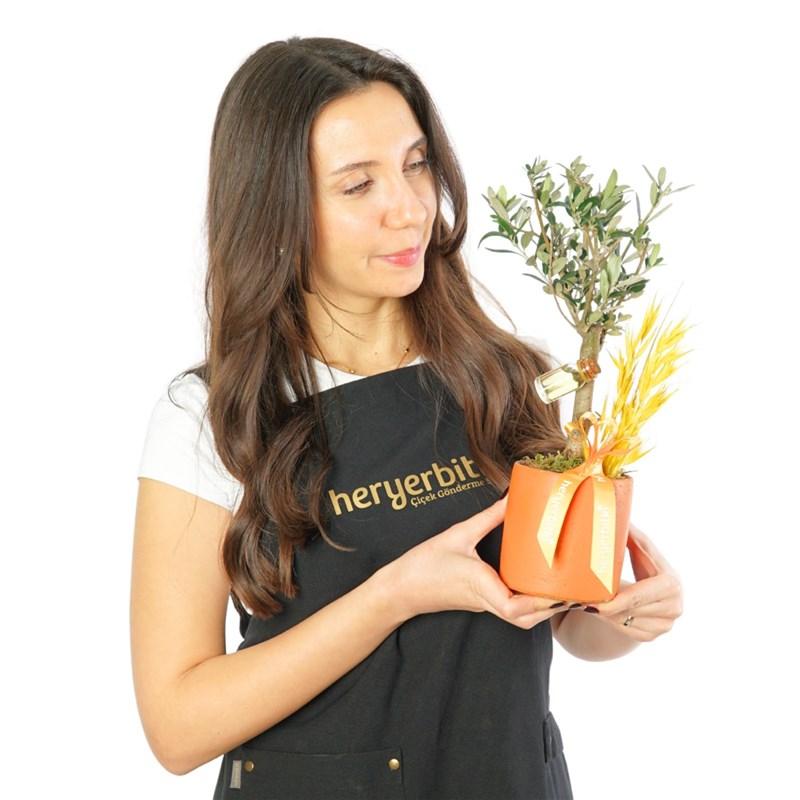 Olive Vita (Zeytin Ağacı Aranjmanı)