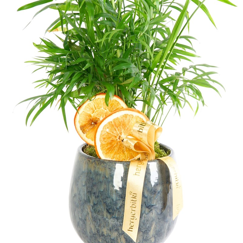 Premium Palm (Palm Tree Arrangement in a Vase)