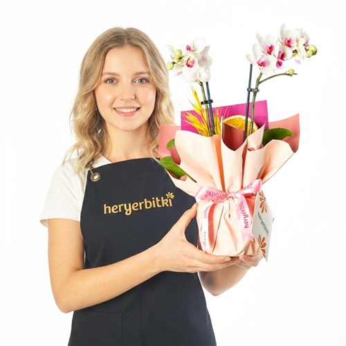 Pink Aura Gift (2 Dallı Beyaz Orkide Aranjmanı)