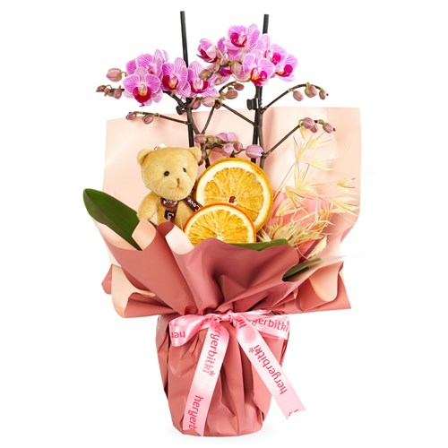 Orchid & Teddy Dream (Mor Orkide ve Ayıcık Aranjmanı)