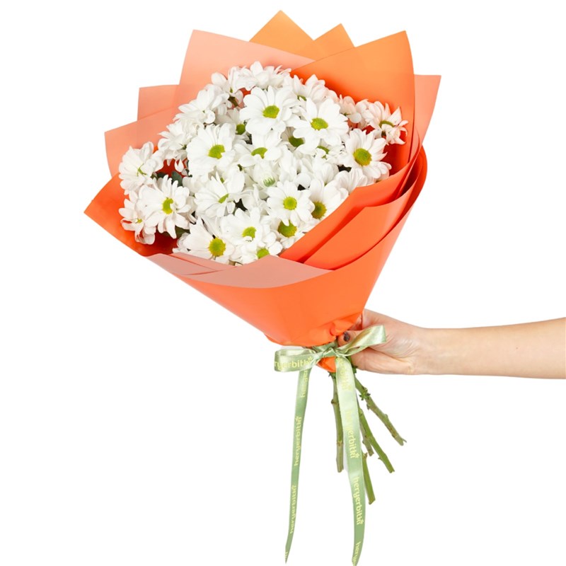 Energy Daisy Bouquet (White Daisy Bouquet)
