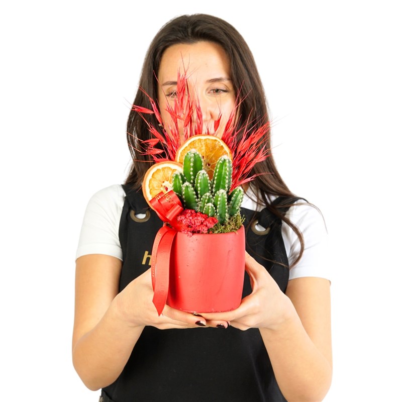 Urban Red (Radyasyon Savar Kaktüs Aranjmanı)