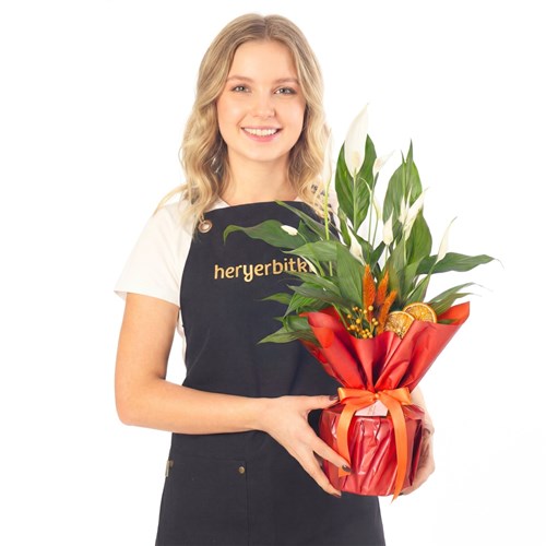 Hediye Paketli Barış Çiçeği