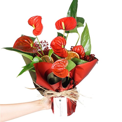 Red Anthurium Gift (Kırmızı Antoryum)