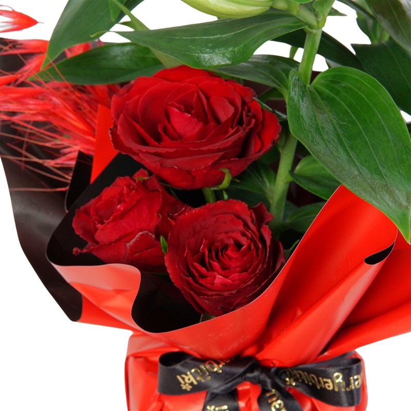 Lilium Love (Fragrant Lilies and Red Roses)
