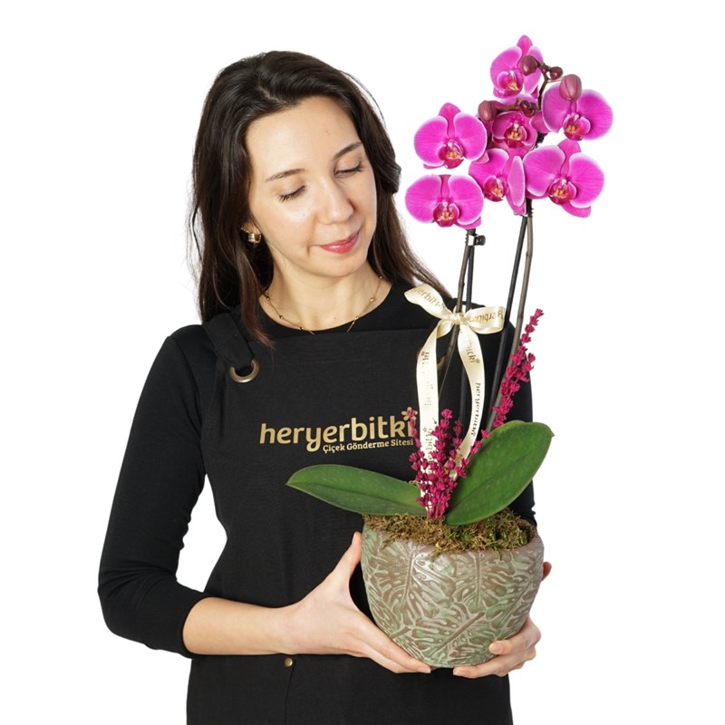 Leaf Purple Orchid (Mor Orkide Aranjmanı)